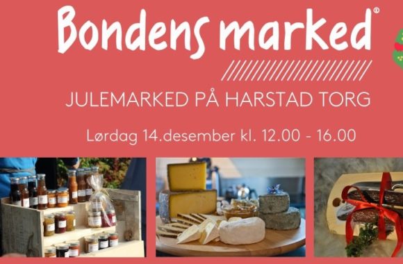 Bondens marked julemarked Harstad torg